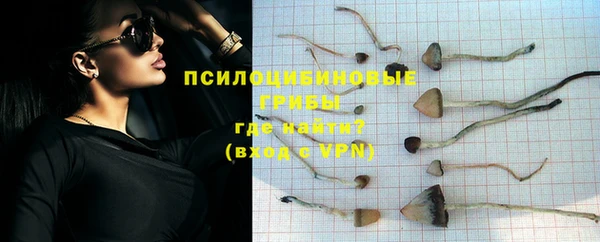 шишки Горно-Алтайск