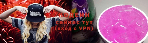 шишки Горно-Алтайск