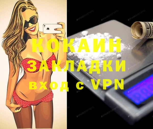 шишки Горно-Алтайск