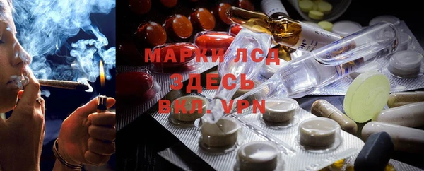 шишки Горно-Алтайск