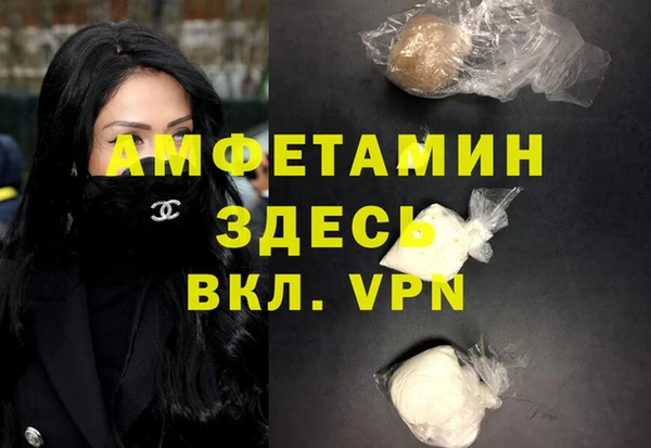шишки Горно-Алтайск