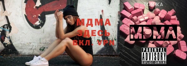 шишки Горно-Алтайск