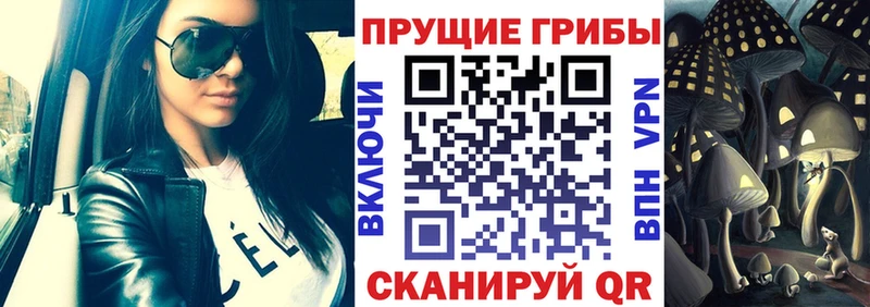 маркетплейс формула Красково Галлюциногенные грибы мухоморы наркошоп